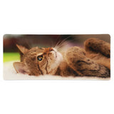 XXL Mouse Pad - The Awakening of Tenderness (Tiger Cat Design)
