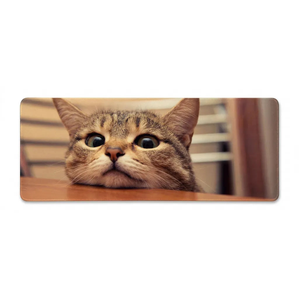 XXL Mouse Pad - Curious Feline Gaze - Premium Finish