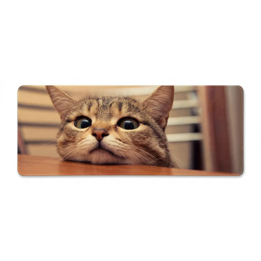 XXL Mouse Pad - Curious Feline Gaze - Premium Finish