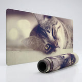 XXL Mouse Pad - Hypnotic Cat Gaze - Artistic Edition