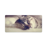 XXL Mouse Pad - Hypnotic Cat Gaze - Artistic Edition