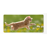 XXL Mouse Pad - Ginger Kitten and Dandelions - Nature & Softness Design